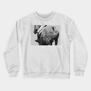 Dapple Grey Crewneck Sweatshirt